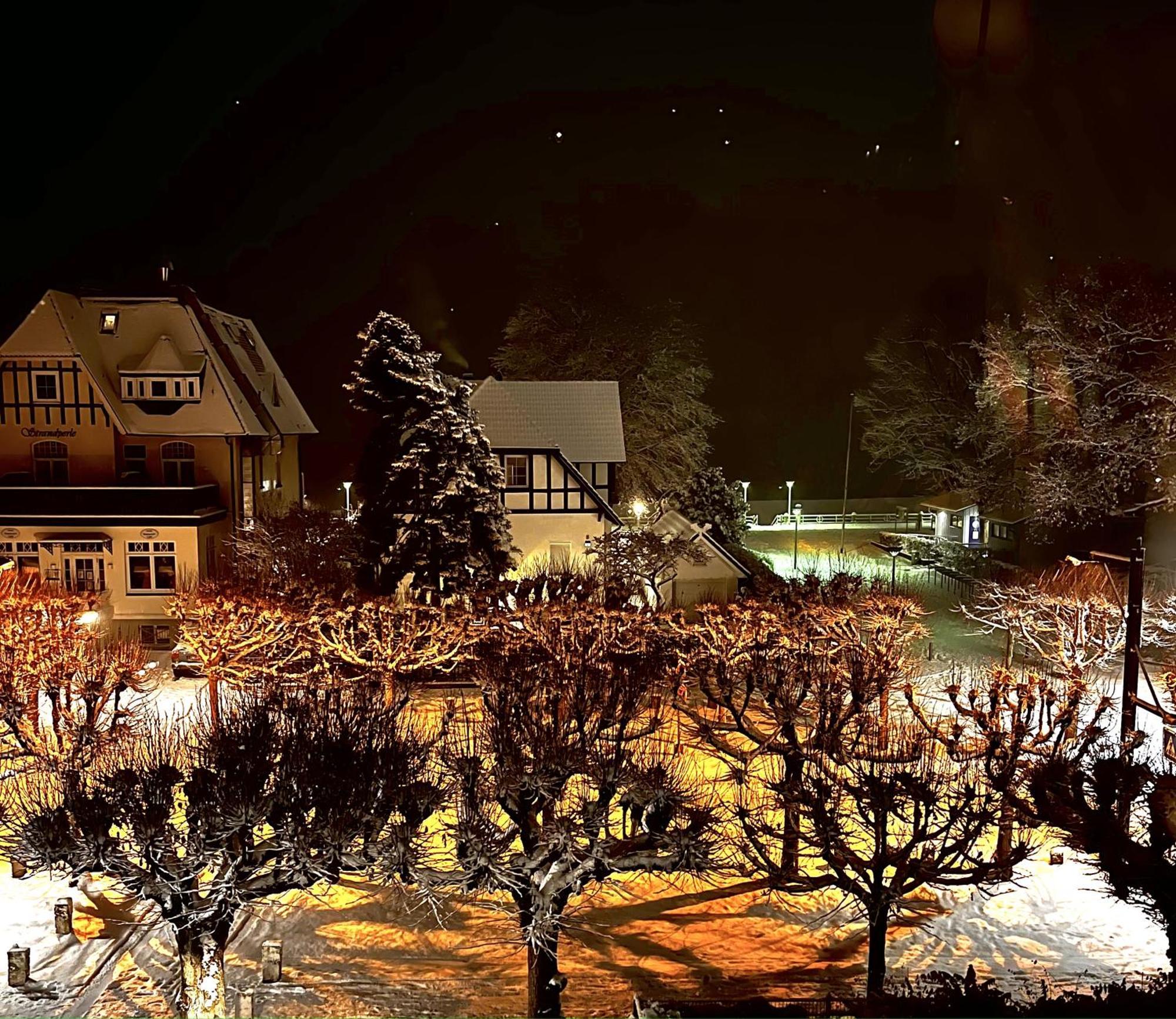 Lejlighed 3sz Penthaus Luna Am Sandstrand Mit Meerblick & Balkon